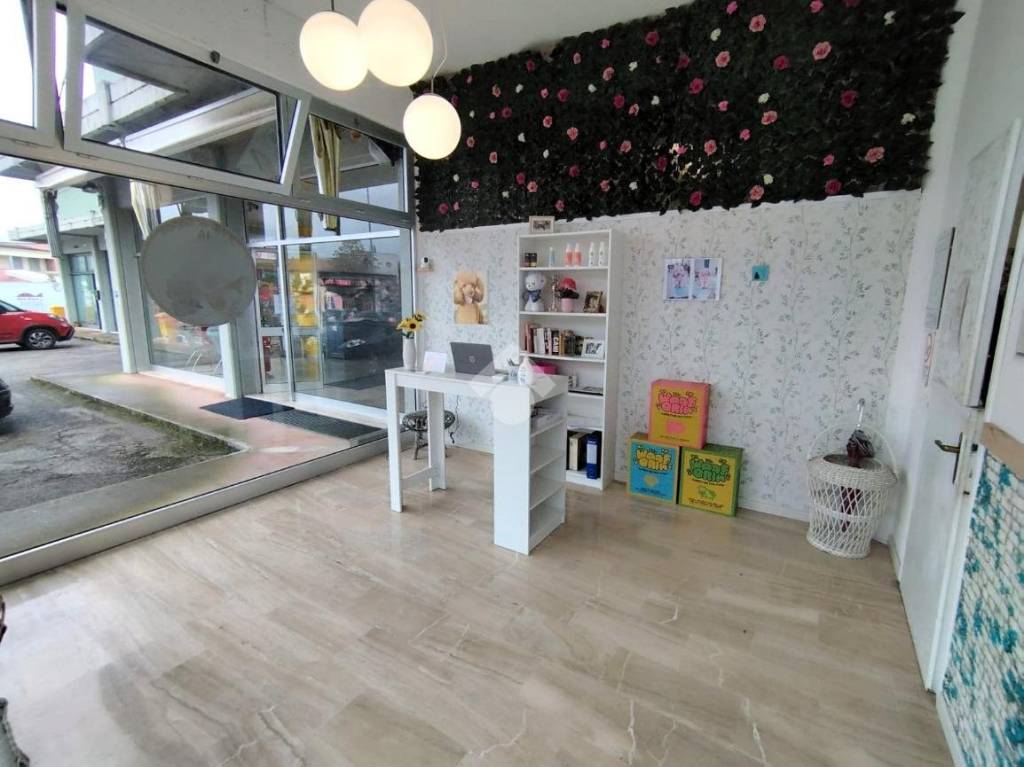 immagine annuncio 1 di 14