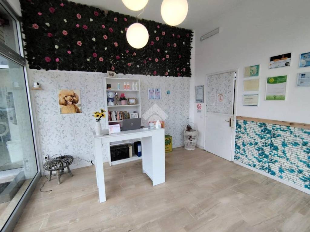 immagine annuncio 3 di 14