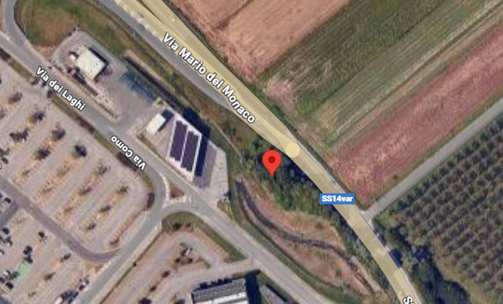 immagine annuncio 5 di 11