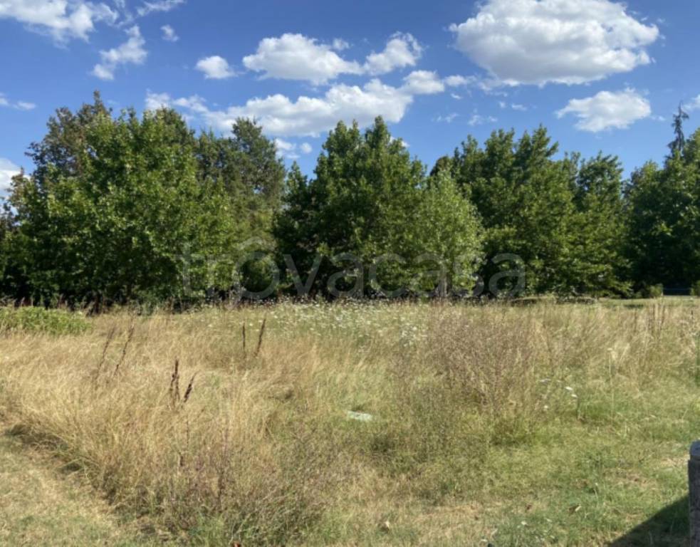 immagine annuncio 5 di 11