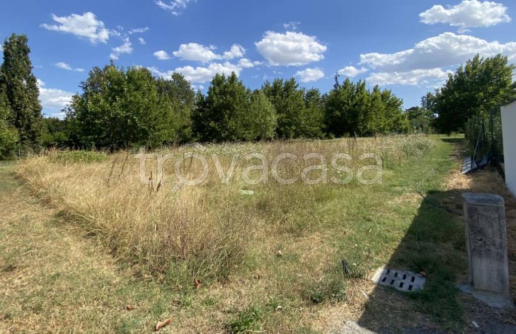 immagine annuncio 6 di 11