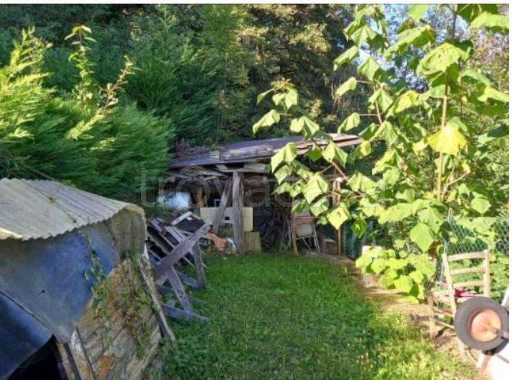 immagine annuncio 2 di 11