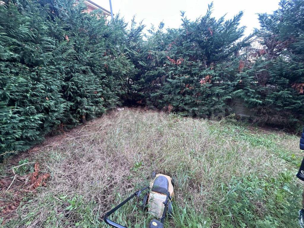 immagine annuncio 4 di 12