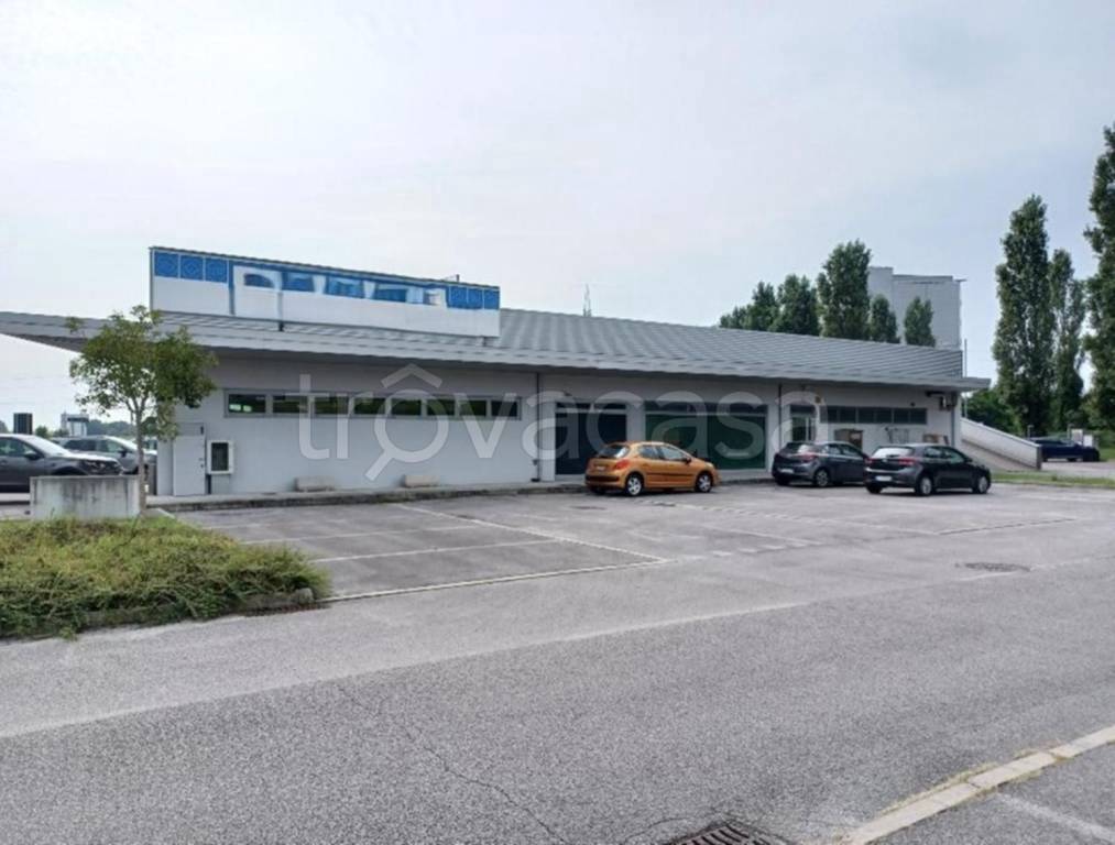 immagine annuncio 6 di 9