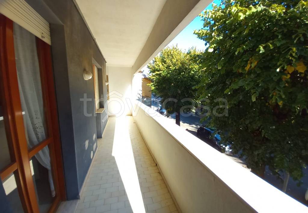 immagine annuncio 5 di 11