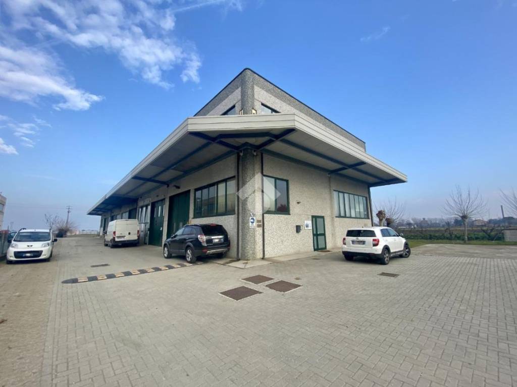 immagine annuncio 2 di 13