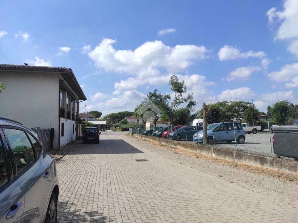 immagine annuncio 3 di 13