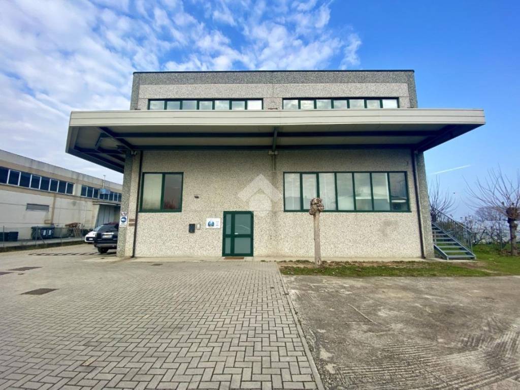 immagine annuncio 4 di 13