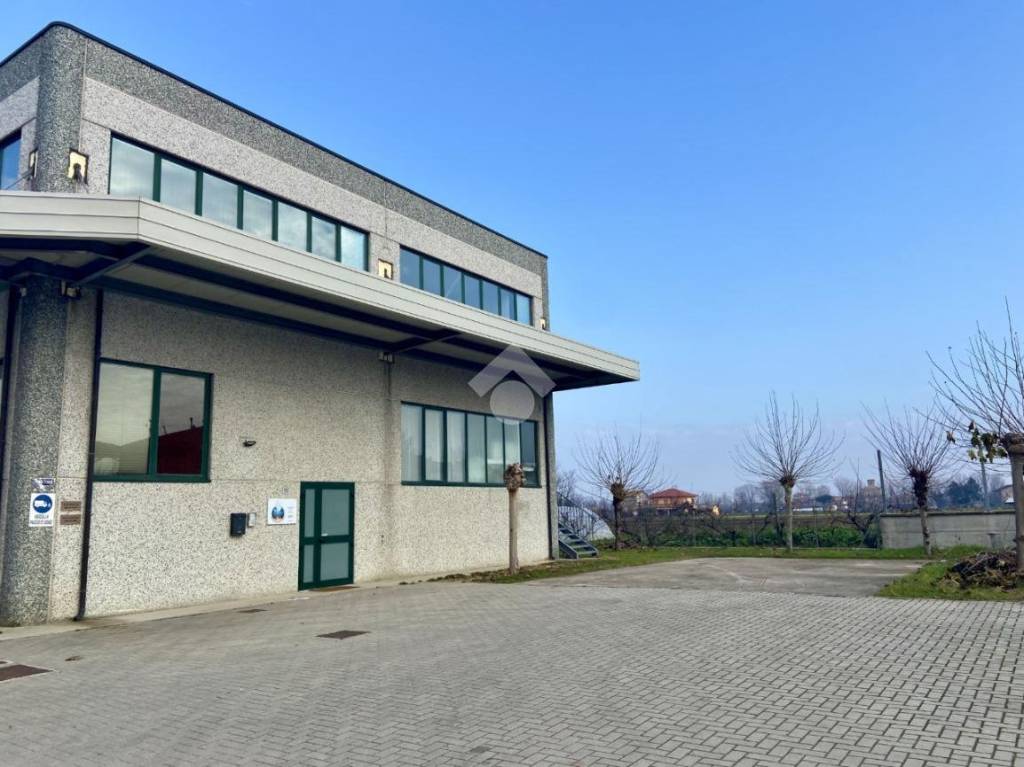 immagine annuncio 6 di 13