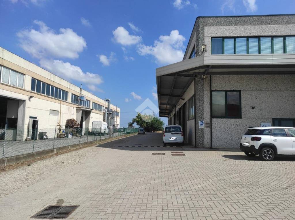 immagine annuncio 9 di 13