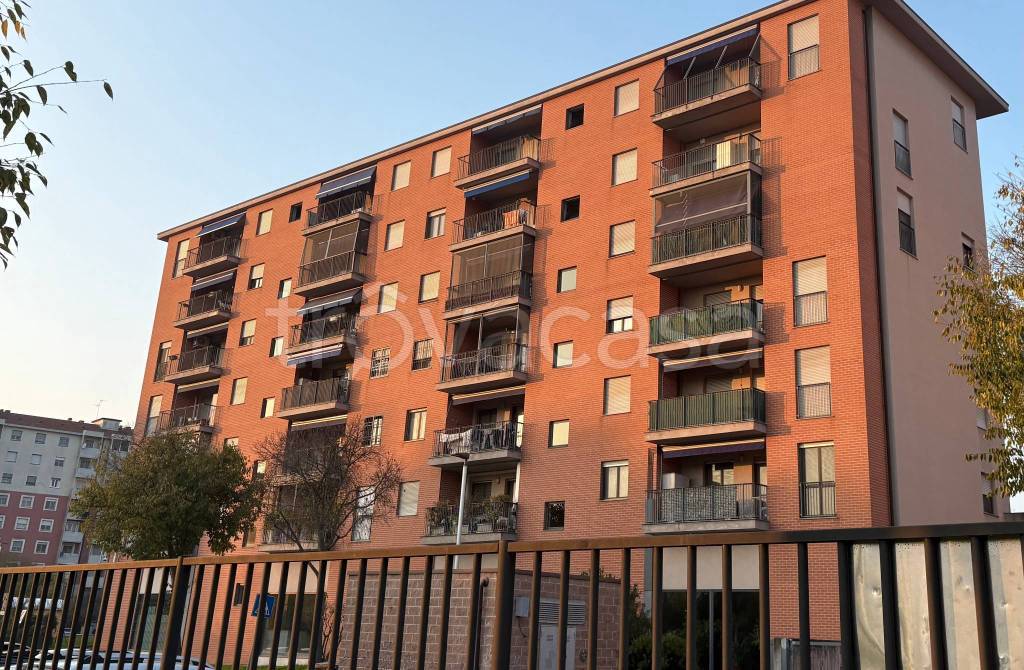 immagine annuncio 4 di 15