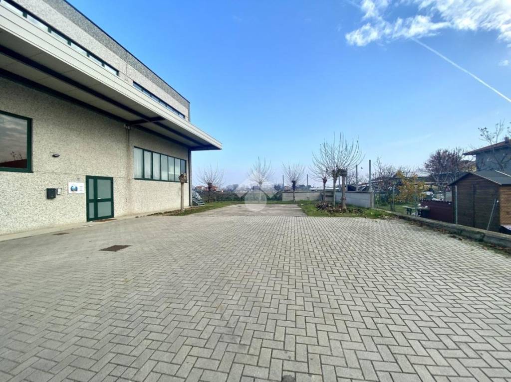 immagine annuncio 12 di 13