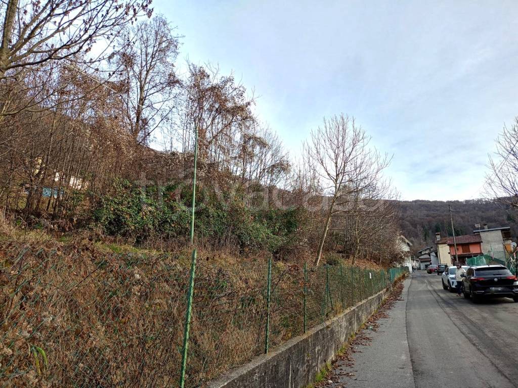 immagine annuncio 4 di 14