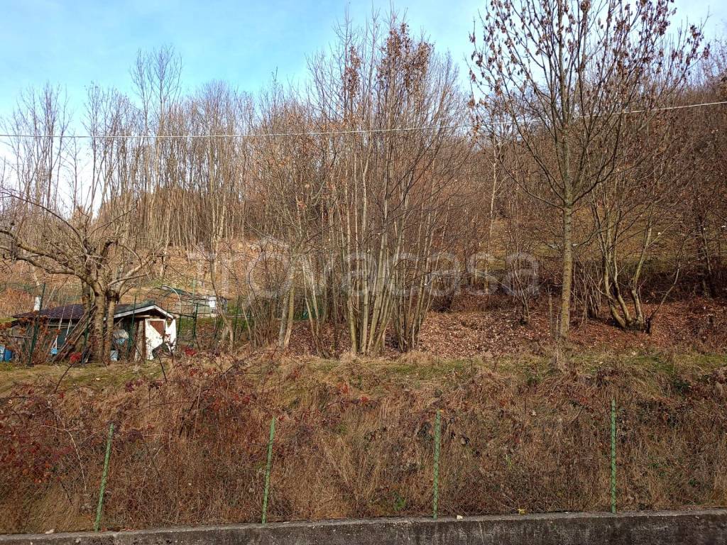 immagine annuncio 5 di 14