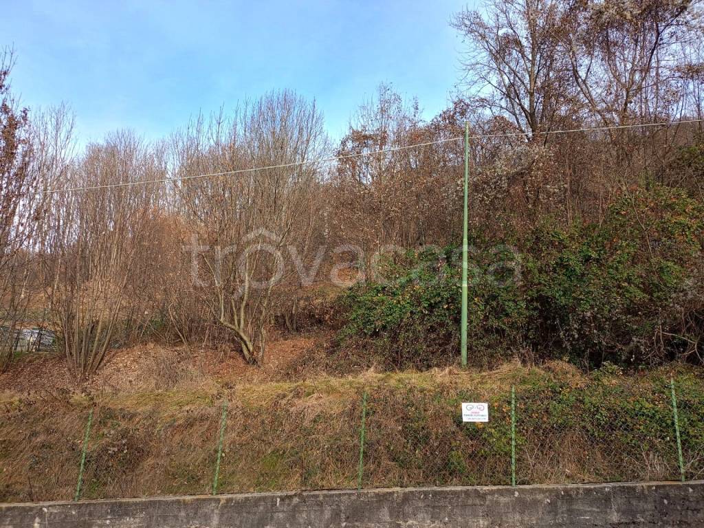 immagine annuncio 6 di 14