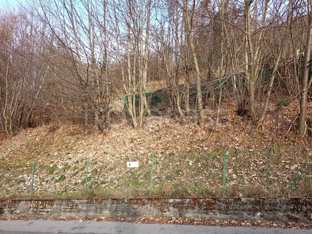 immagine annuncio 7 di 14