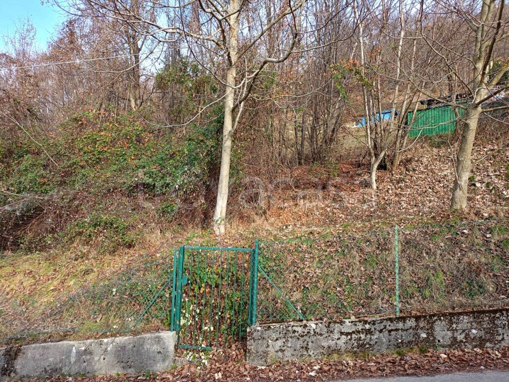 immagine annuncio 8 di 14