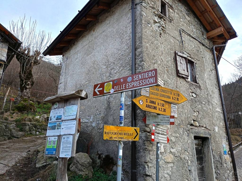 immagine annuncio 11 di 14