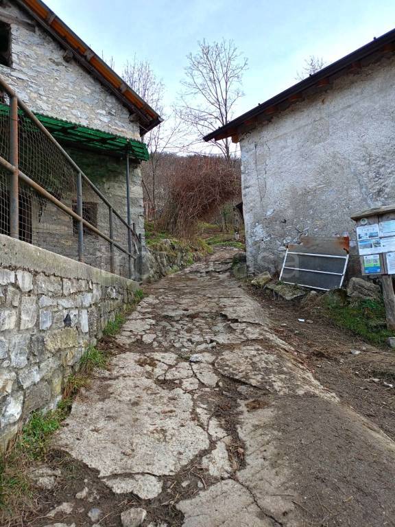 immagine annuncio 12 di 14