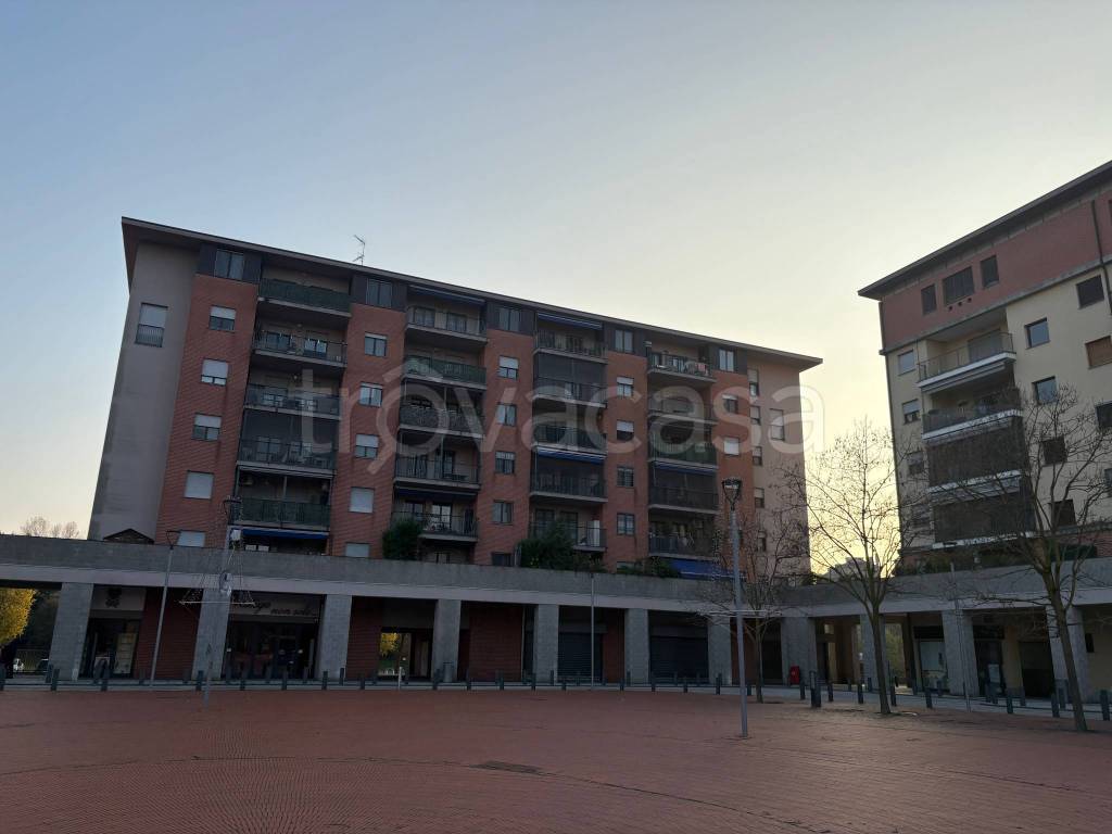 immagine annuncio 6 di 15