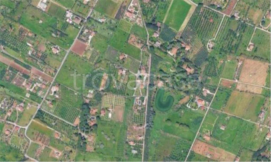 immagine annuncio 9 di 13