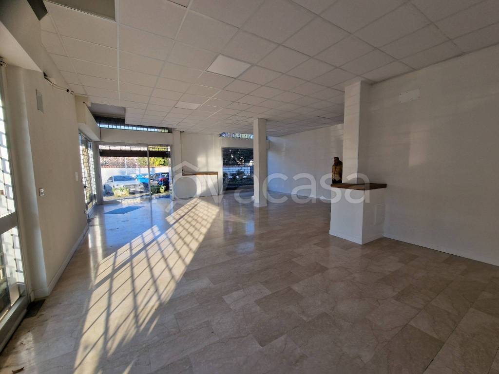 immagine annuncio 4 di 14