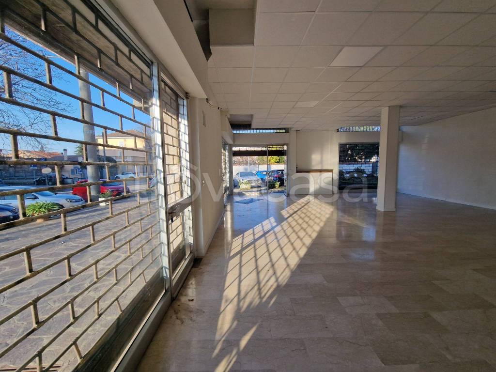 immagine annuncio 6 di 14