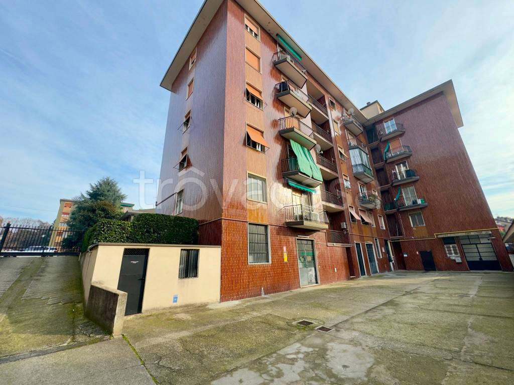 immagine annuncio 3 di 15