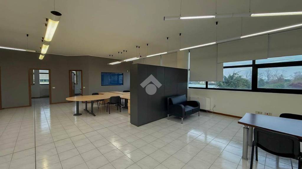 immagine annuncio 4 di 14