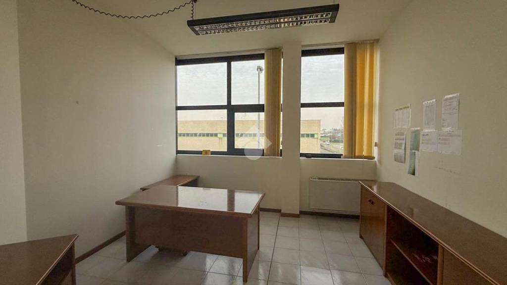 immagine annuncio 9 di 14