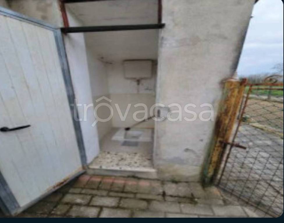 immagine annuncio 4 di 12