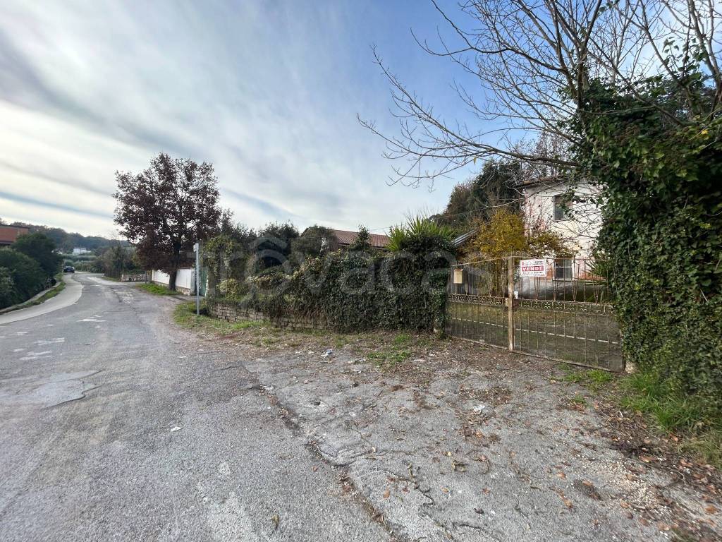 immagine annuncio 2 di 14