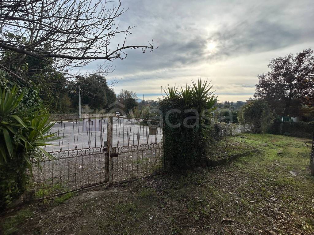 immagine annuncio 3 di 14