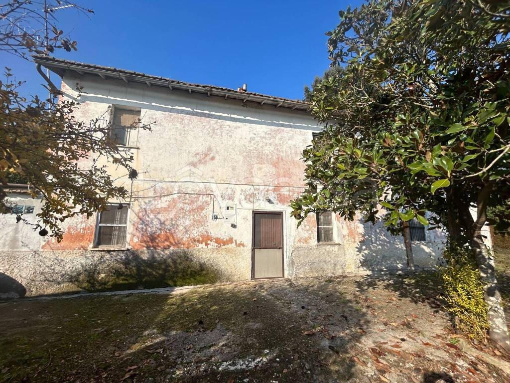 immagine annuncio 4 di 14