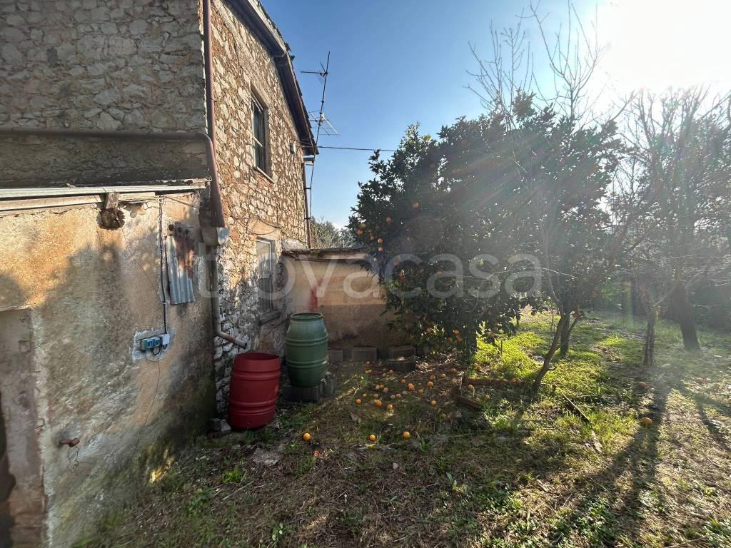 immagine annuncio 5 di 14