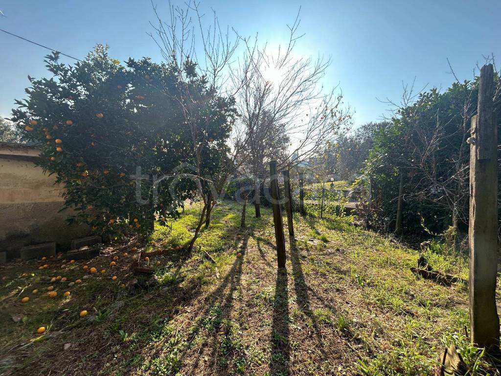 immagine annuncio 6 di 14