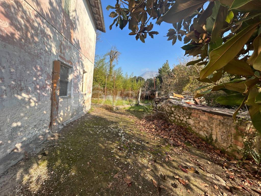 immagine annuncio 8 di 14