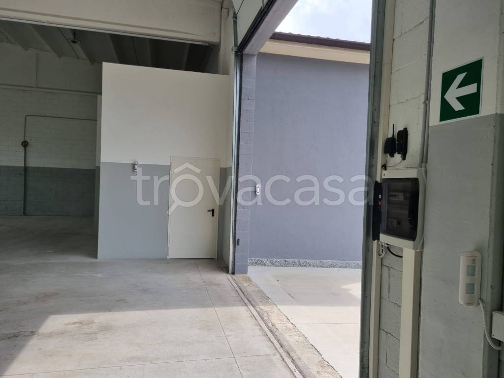 immagine annuncio 4 di 13