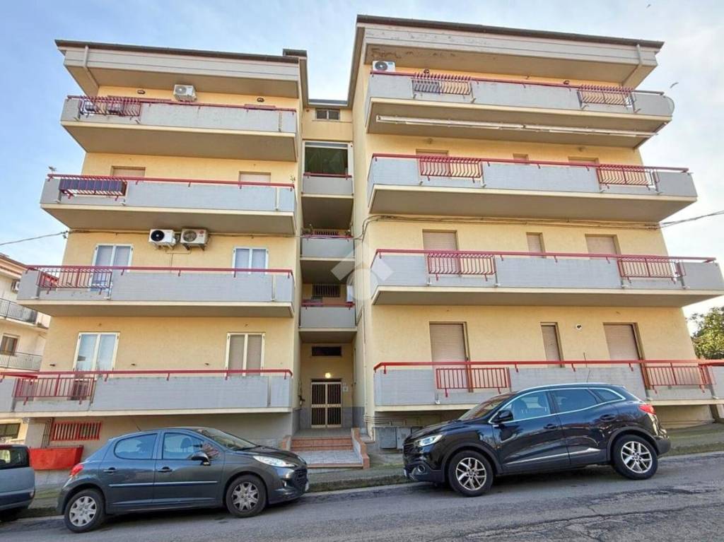 immagine annuncio 11 di 12