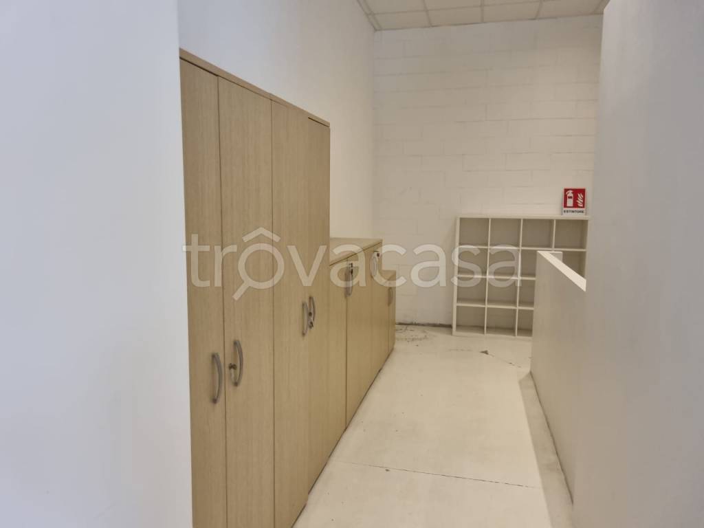 immagine annuncio 6 di 13