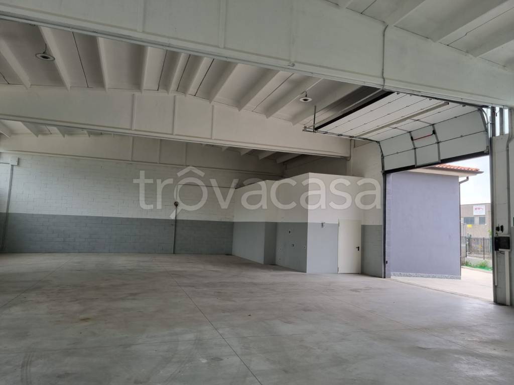 immagine annuncio 7 di 13