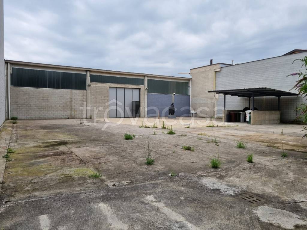 immagine annuncio 1 di 13