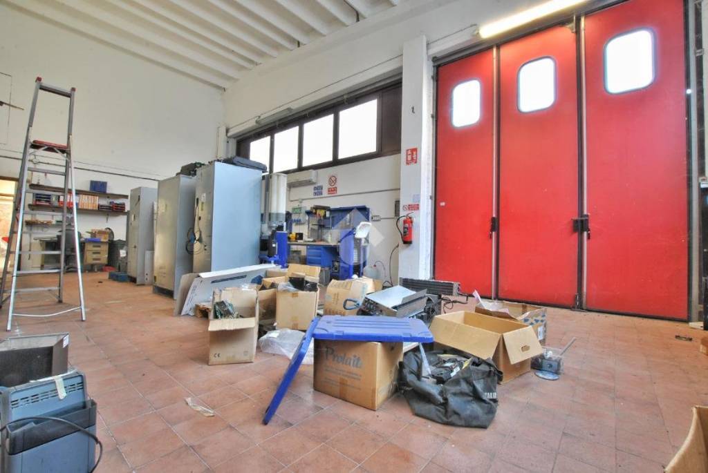 immagine annuncio 9 di 15