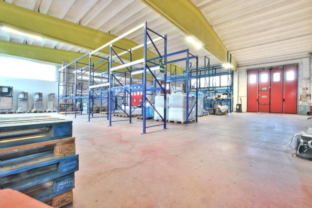 immagine annuncio 11 di 15