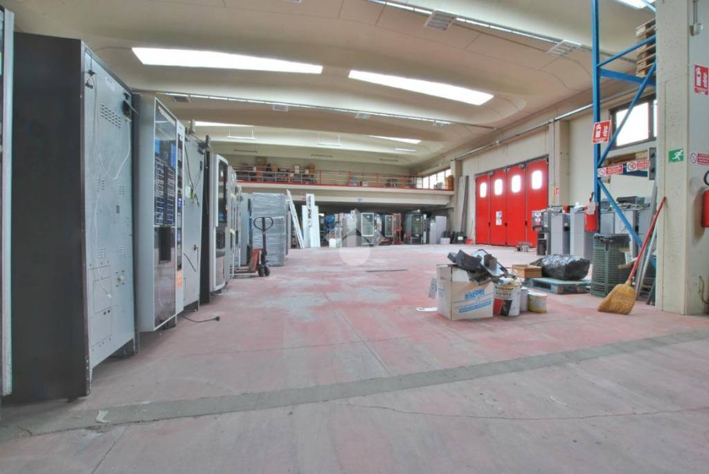 immagine annuncio 14 di 15