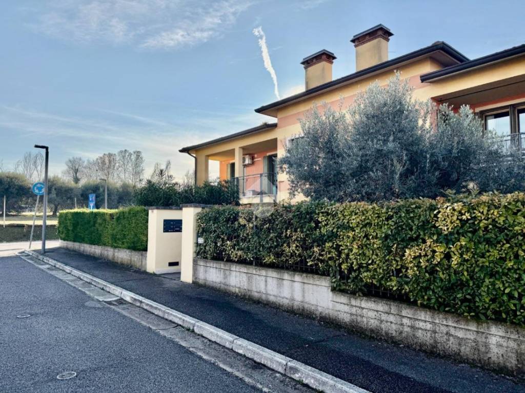 immagine annuncio 1 di 15