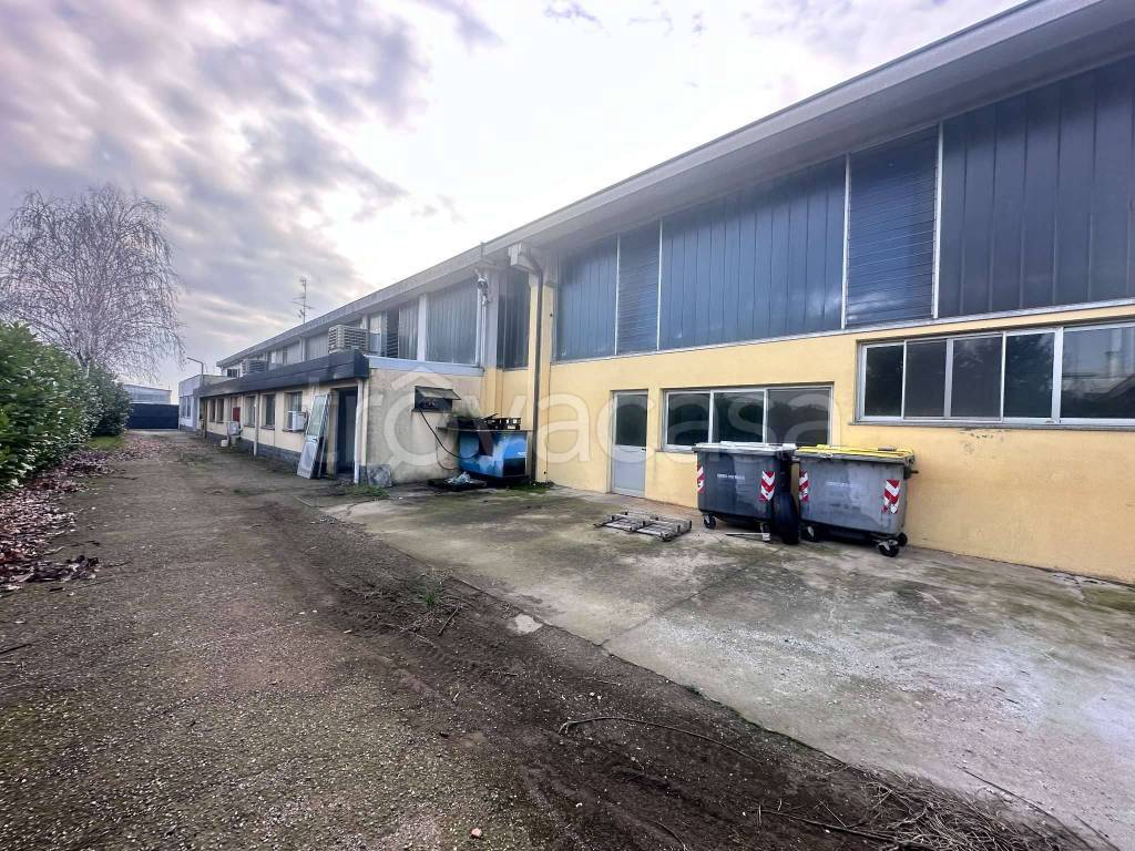 immagine annuncio 9 di 15