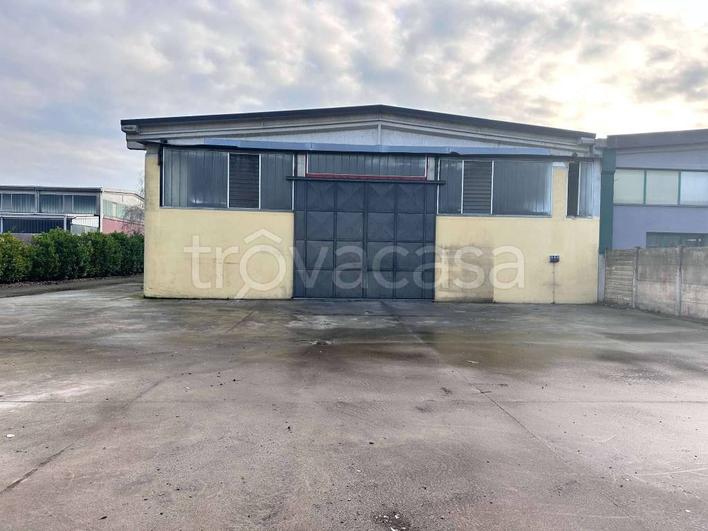 immagine annuncio 11 di 15