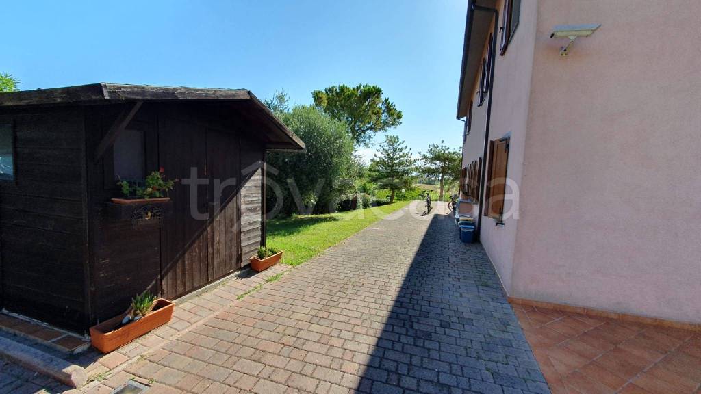 immagine annuncio 11 di 15