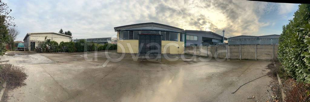 immagine annuncio 12 di 15